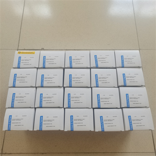 旋鈕開關 CH10 D-204V 17 KD1 (4)