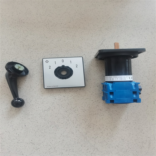 旋鈕開關 CH10 D-204V 17 KD1 (6)